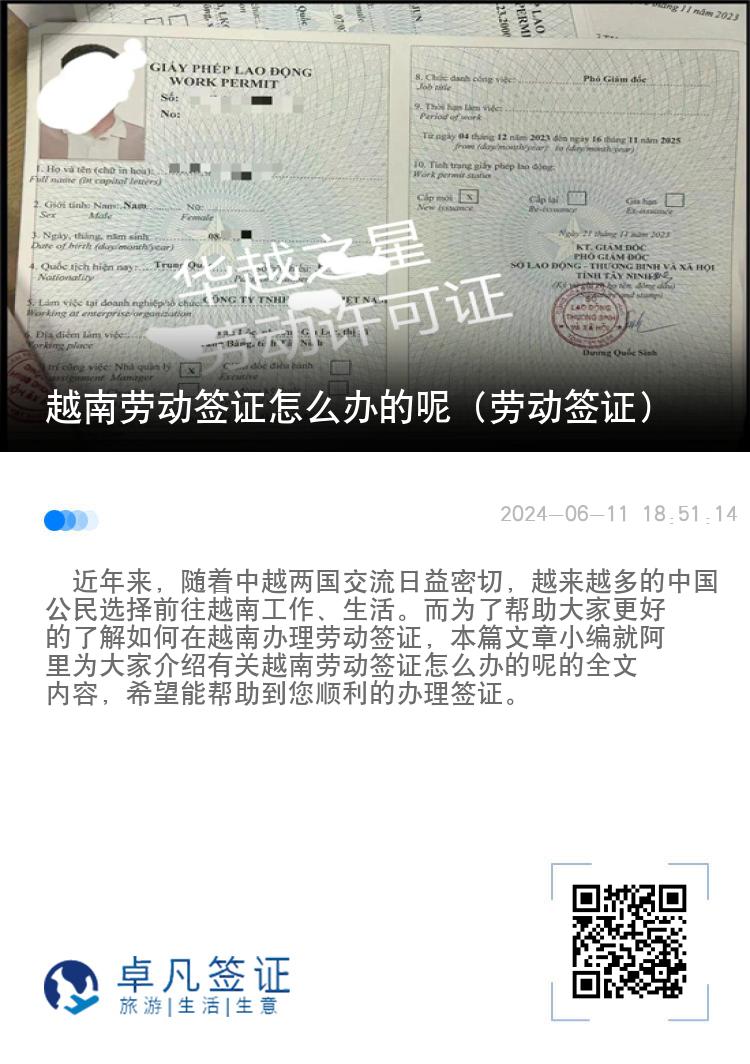 越南勞動簽證怎么辦的呢（勞動簽證）