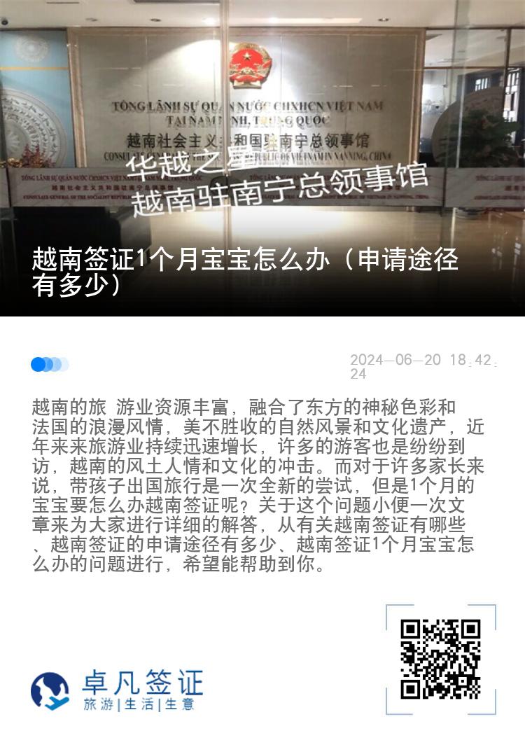 越南簽證1個月寶寶怎么辦（申請途徑有多少）
