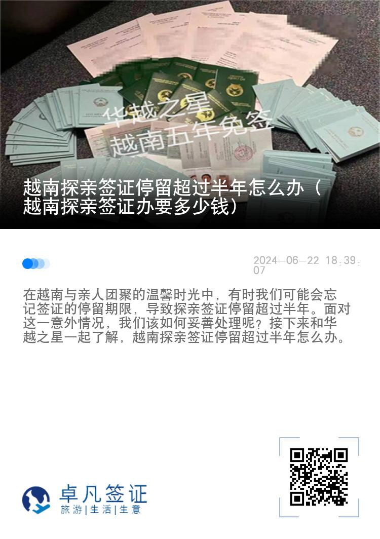 越南探親簽證停留超過半年怎么辦（越南探親簽證辦要多少錢）