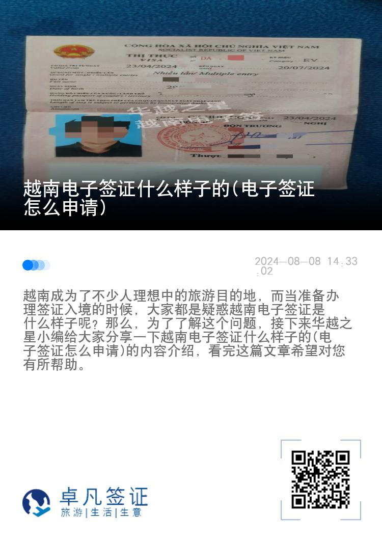 越南電子簽證什么樣子的(電子簽證怎么申請(qǐng))