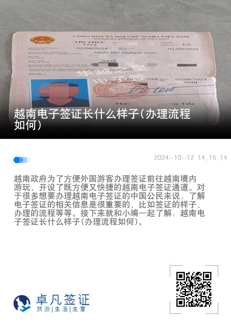 越南電子簽證長什么樣子(辦理流程如何)