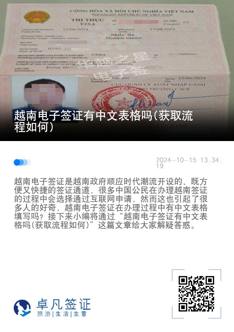 越南電子簽證有中文表格嗎(獲取流程如何)