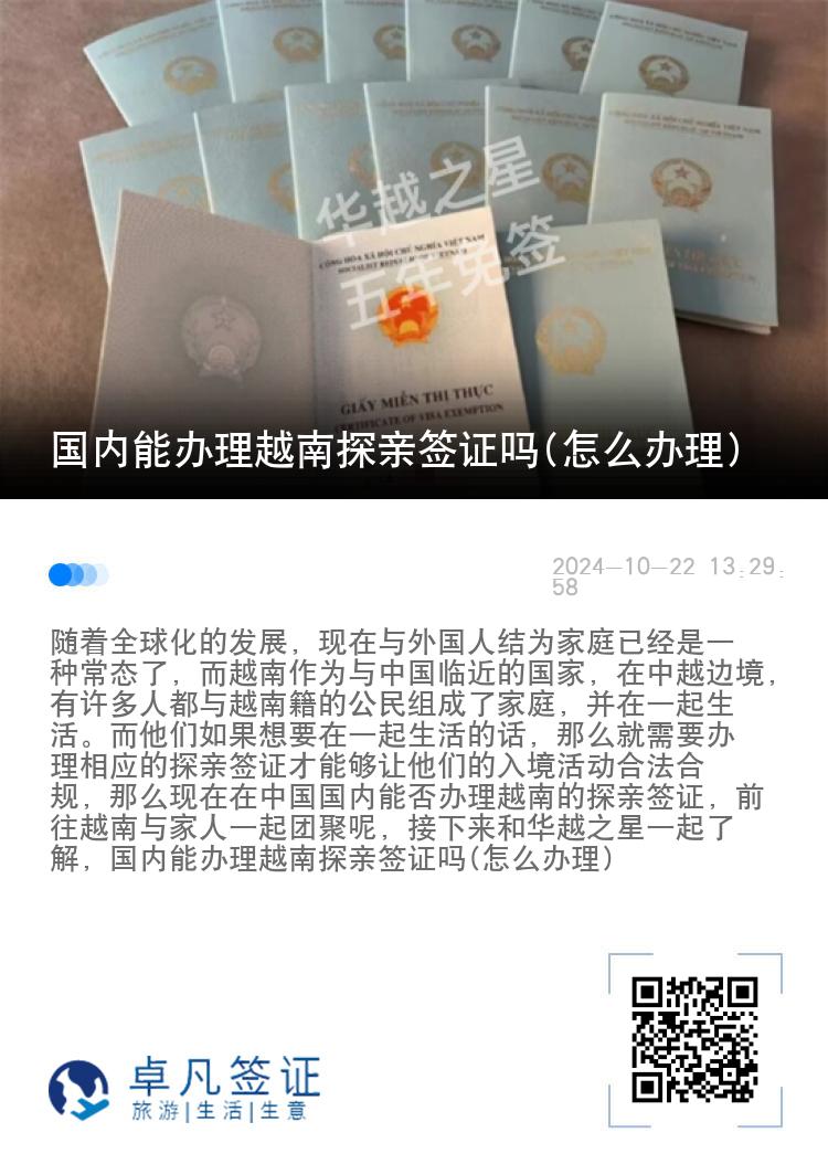 國內(nèi)能辦理越南探親簽證嗎(怎么辦理)
