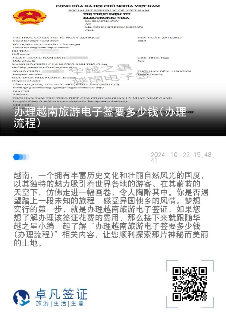 辦理越南旅游電子簽要多少錢(辦理流程)