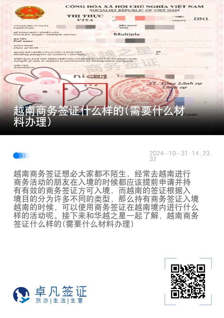 越南商務(wù)簽證什么樣的(需要什么材料辦理)