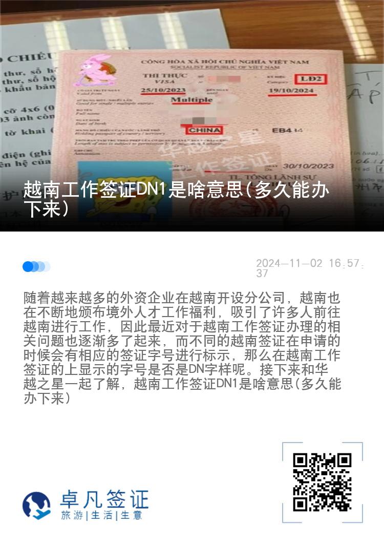 越南工作簽證DN1是啥意思(多久能辦下來(lái))
