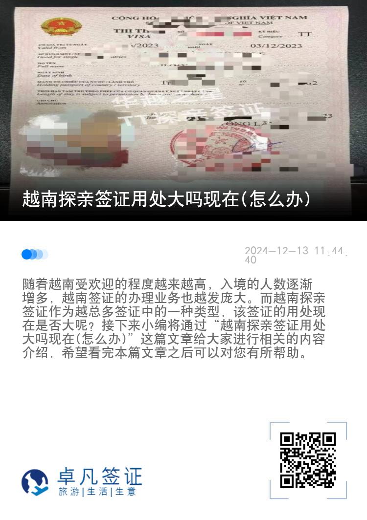 越南探親簽證用處大嗎現(xiàn)在(怎么辦)