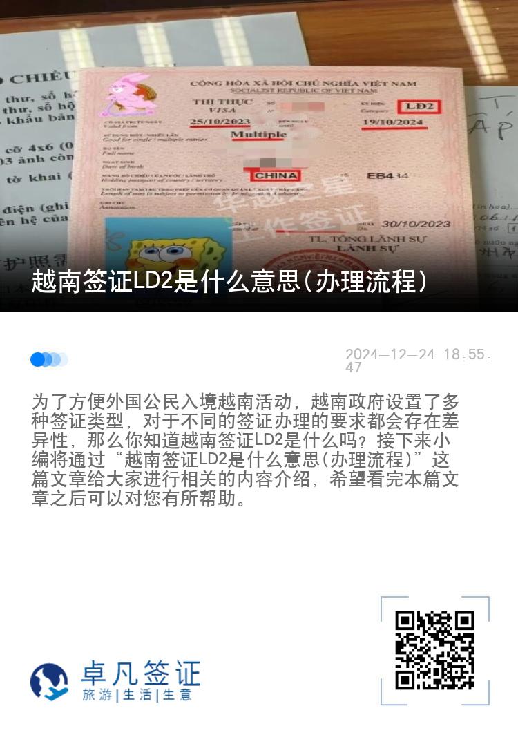 越南簽證LD2是什么意思(辦理流程)